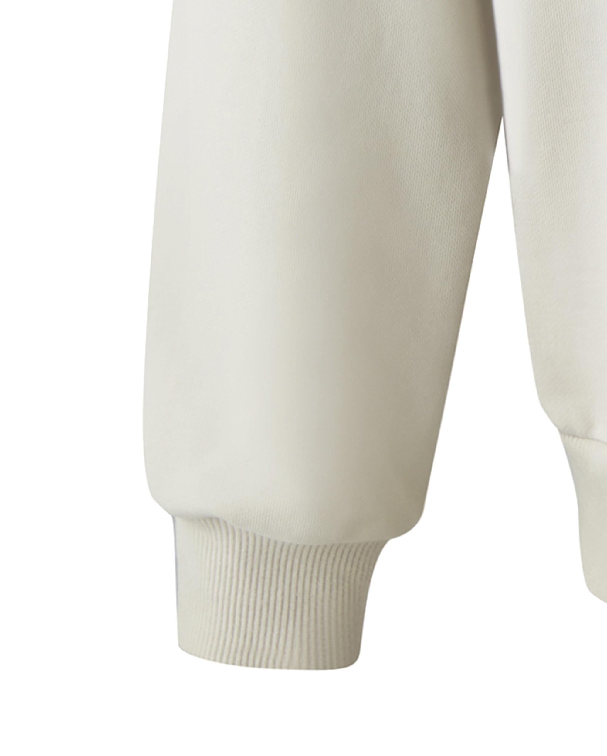 1011733-055 | MEN'S VINTAGE PALLADIUM LOGO HOODIE | MOONSTRUCK - Image 5